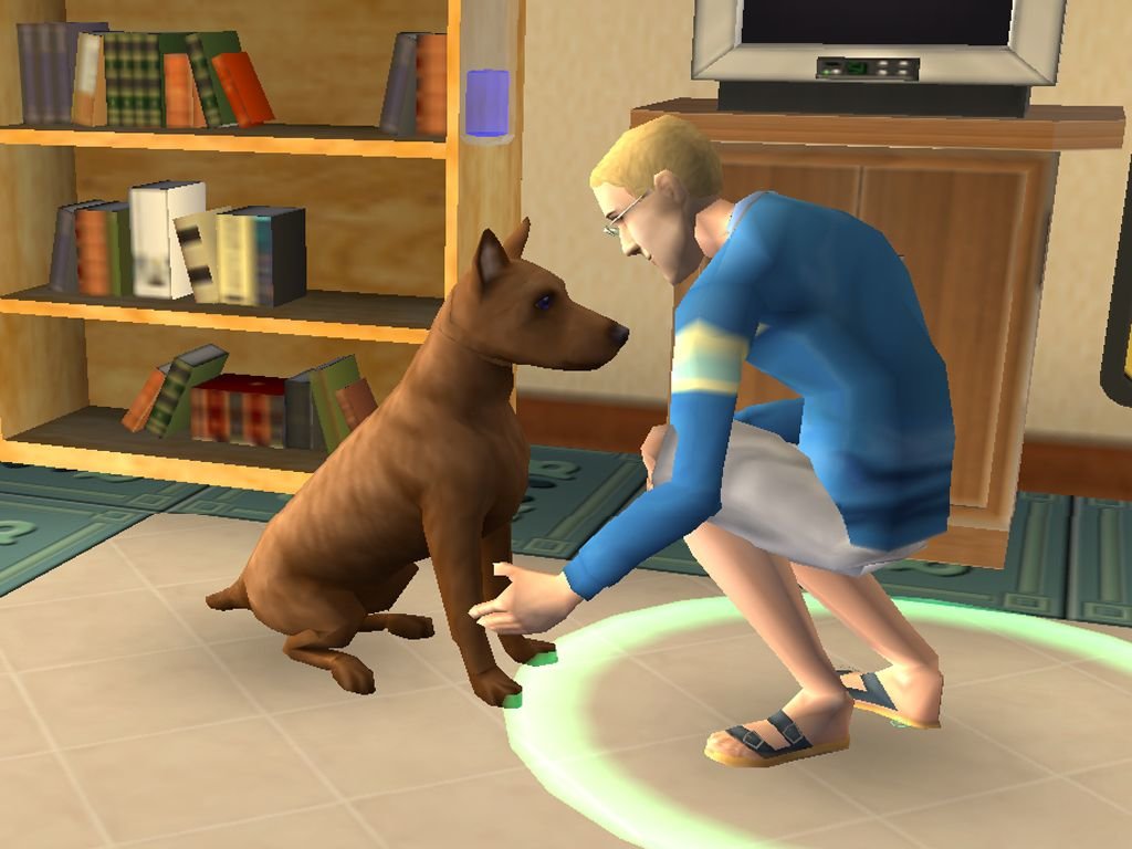 Die Sims 2 Haustiere für Konsole