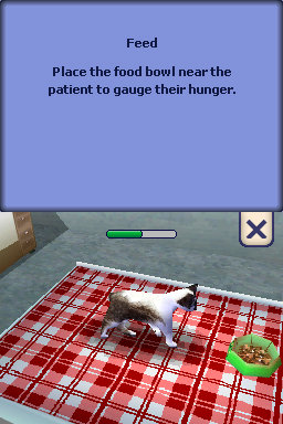 Die Sims 2 Haustiere für Nintendo DS