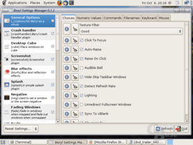 Beryl Settings Manager – General Options