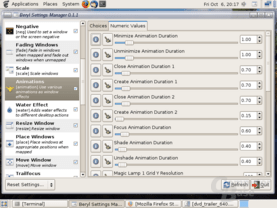 Beryl Settings Manager – Animations