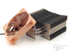 Unverwechselbares Noctua-Duo