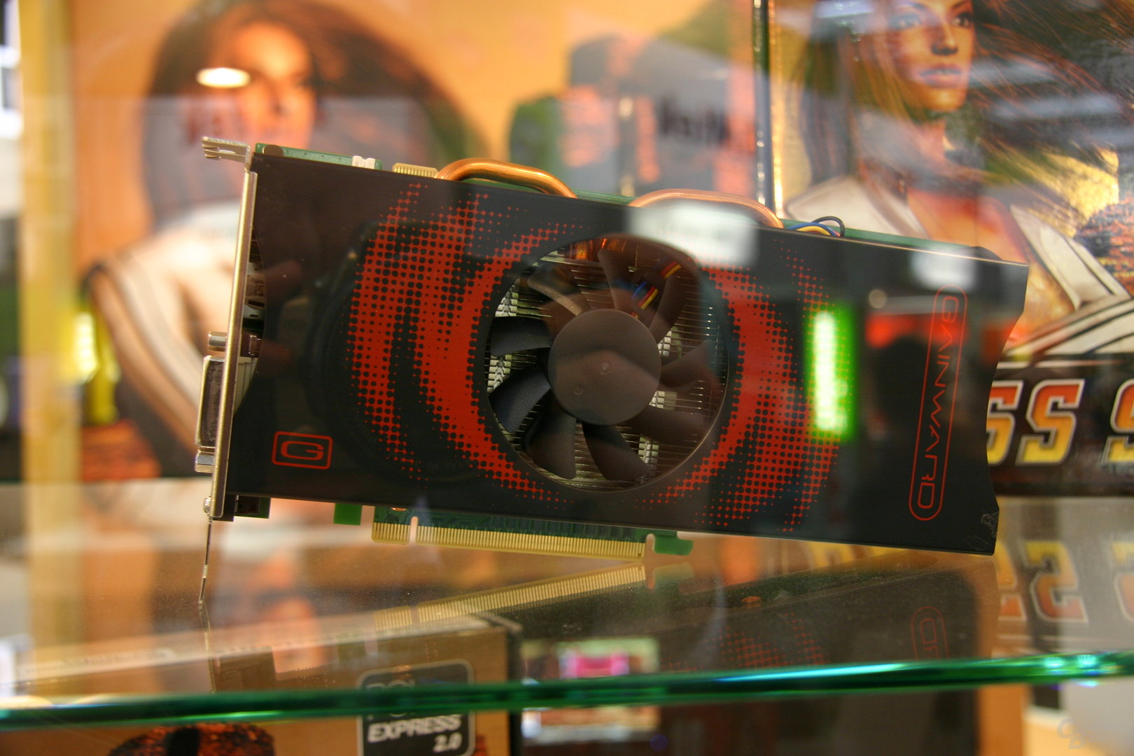 Gainward GeForce 9600 GT GS
