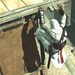 Assassin's Creed im Test: Der Meuchelmörder aus dem Orient für den PC