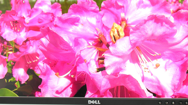Dell UltraSharp 2408WFP im Test: Cineastischer Fotoprofi für Spieler