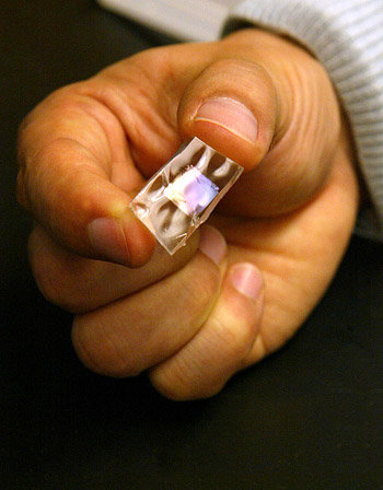 Silikongummi-Chip mit hauchdünnen piezoelektrischen PZT-Bändern (Foto: Frank Wojciechowski)