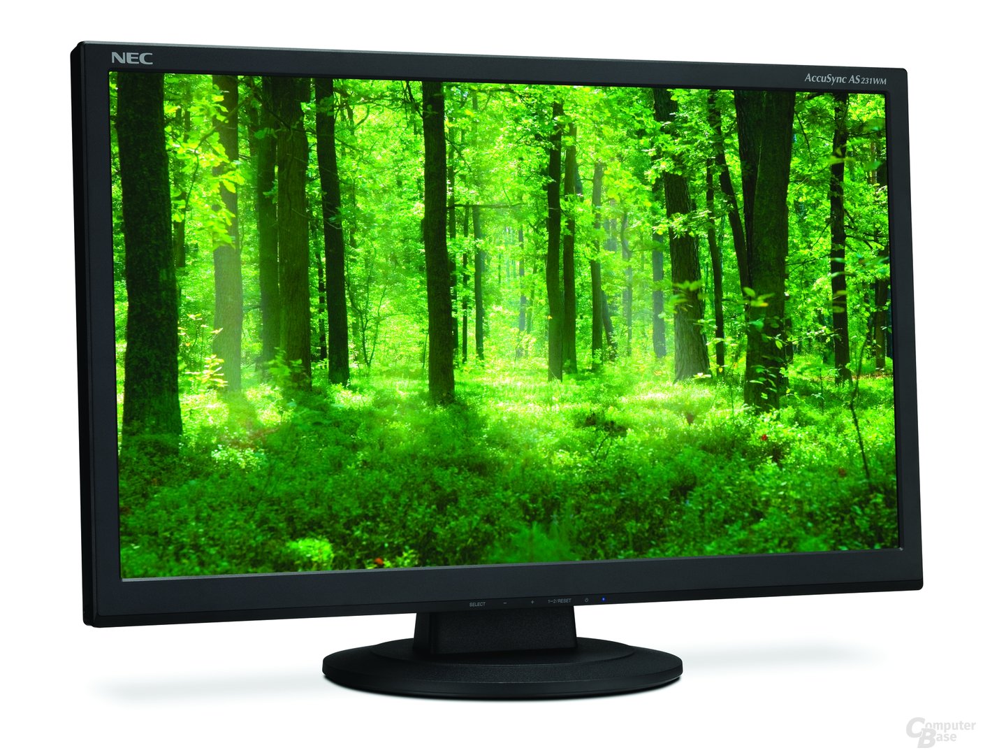NEC AccuSync AS231WM