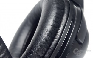 Ohrmuscheln im Detail