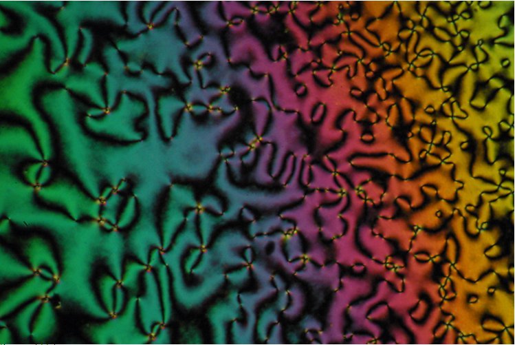 Bild der neuen Flüssigkristalle in der nematischen Phase | Kaszynski Lab