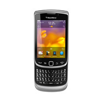 Torch 9810
