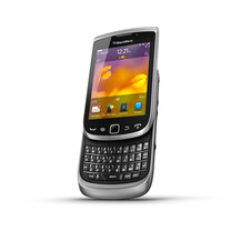 Torch 9810