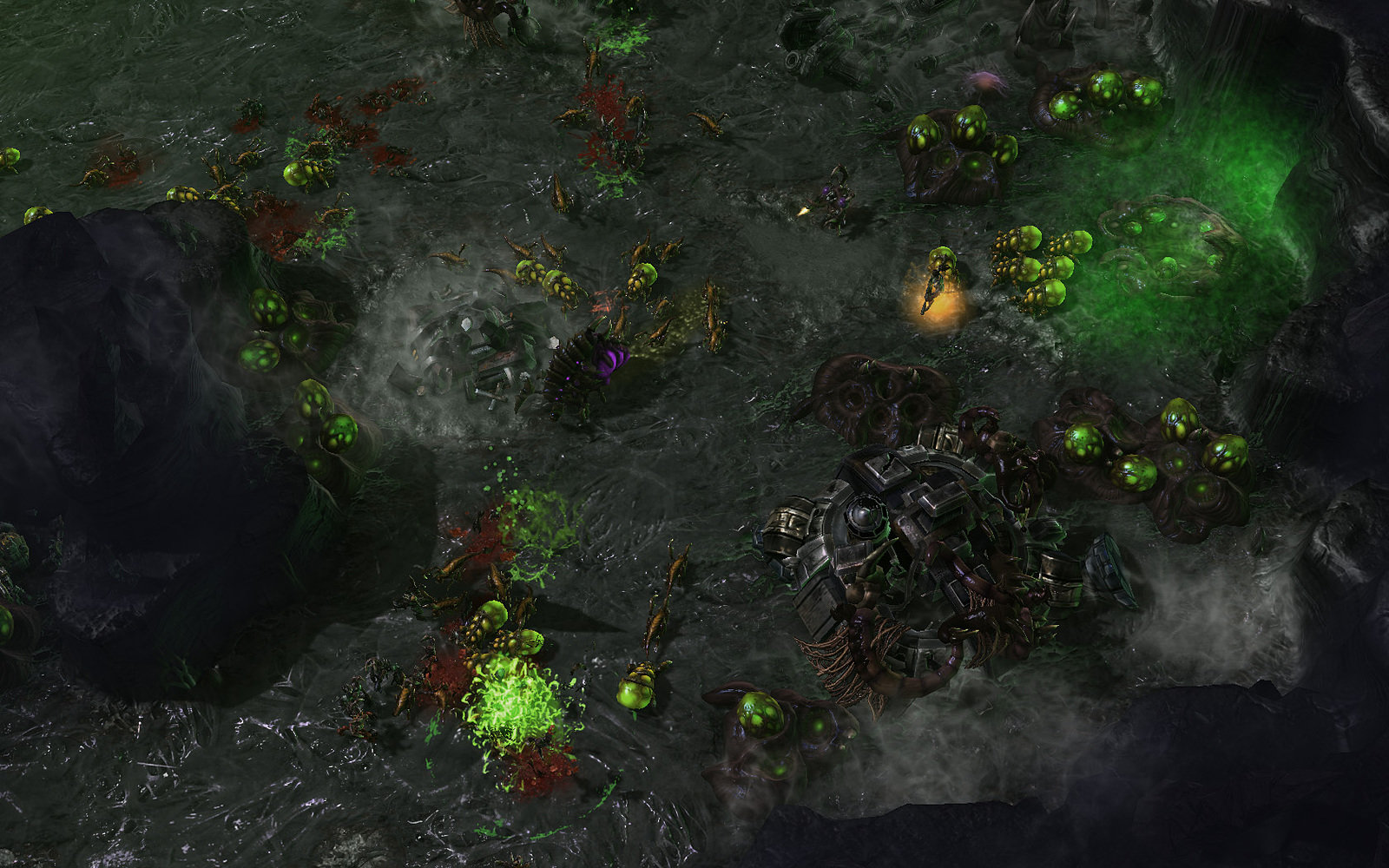 Starcraft 2: Heart of the Swarm