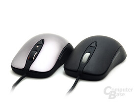 Gleiches Chassis: Sensei und Xai