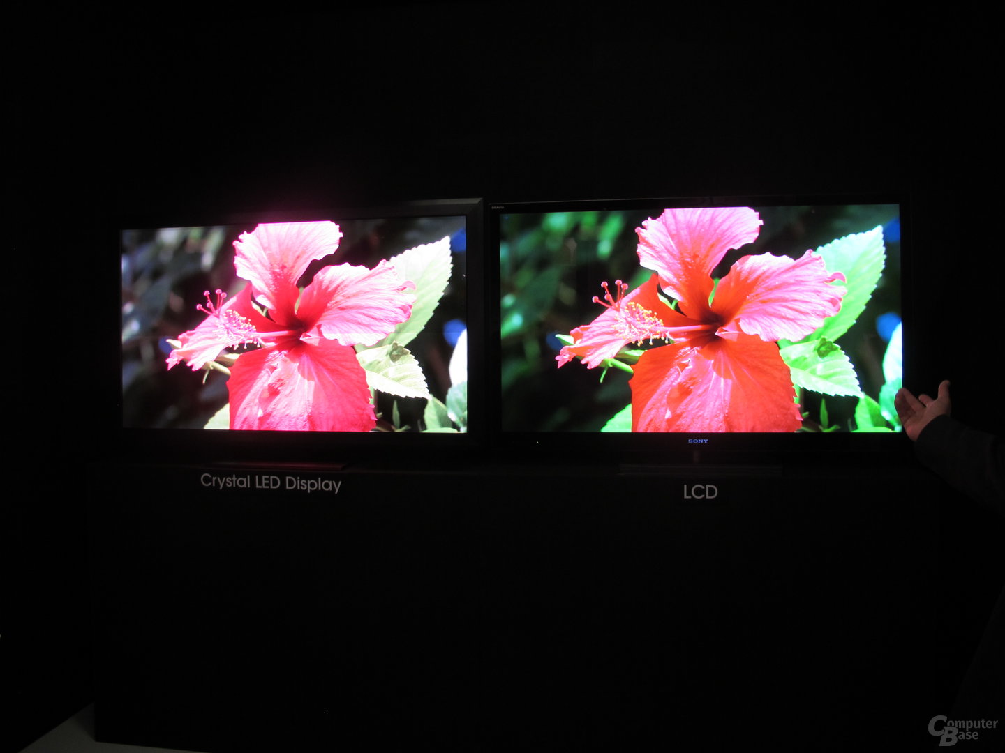 Sony Crystal LED Display