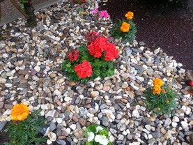 Foto-Beispiel, Samsung Galaxy S III
