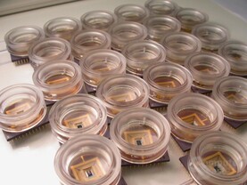 Mit 16.384 Sensoren auf nur einem Quadratmillimeter wird jeder dieser "Neuro-Chips" die elektrischen Signale von Nervenzellen aufnehmen.