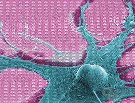 Der "Neuro-Chip" von Infineon Technologies stellt direkten Kontakt zu einer lebenden Nervenzelle her.