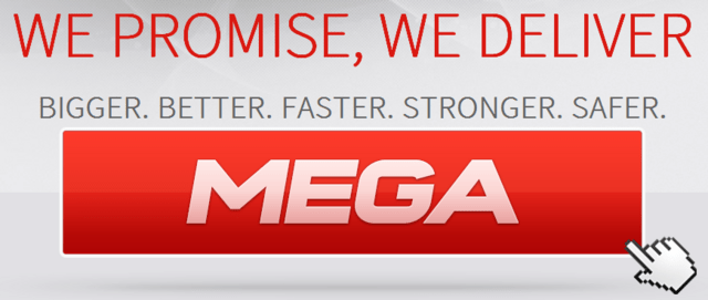 Auszug aus der Mega-Internetseite