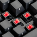 Filco Majestouch Ninja Tenkeyless im Test: Hochpreisige mechanische Tastatur