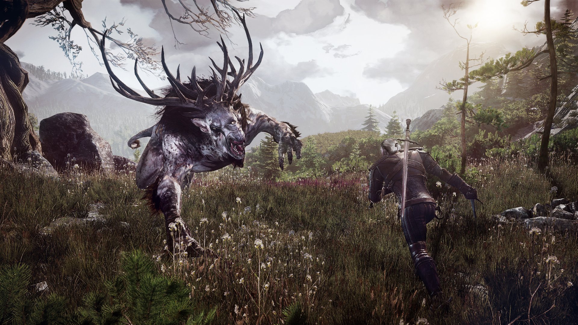 The Witcher 3: Wilde Jagd