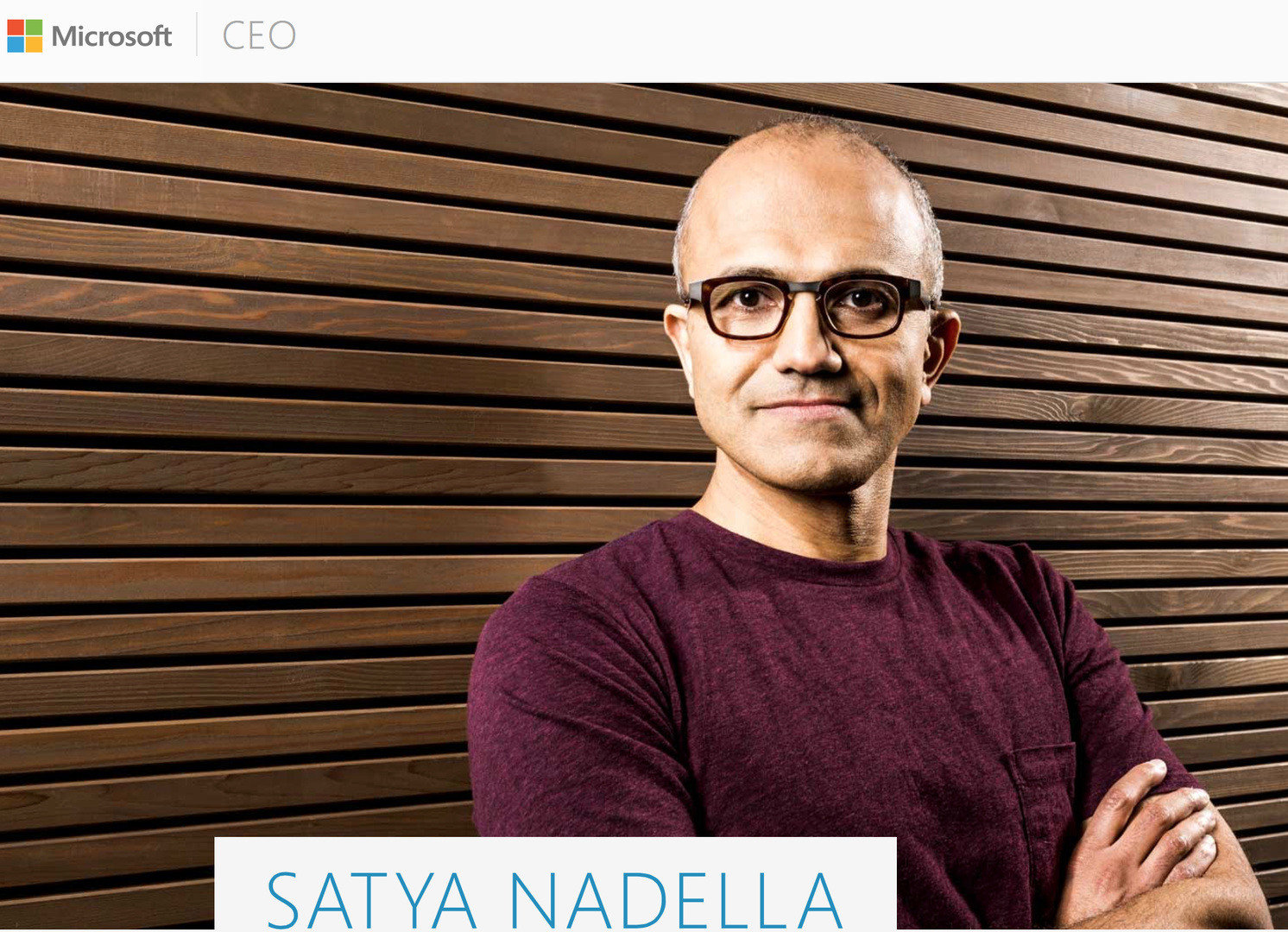Der neue CEO: Satya Nadella