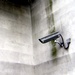 Internetdienste wussten von Ausmaß der NSA-Überwachung