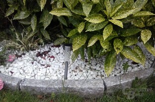 Testbilder LG L40 - 01