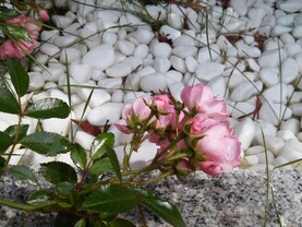 Testbilder LG L90 - 03