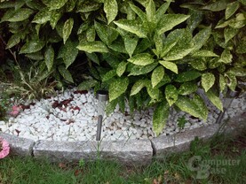 Testbilder LG L70 - 01