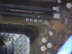 Asus SK8N
