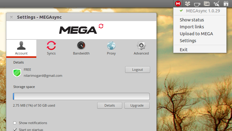Online-Speicher: MEGA bekommt offenen Client für Linux