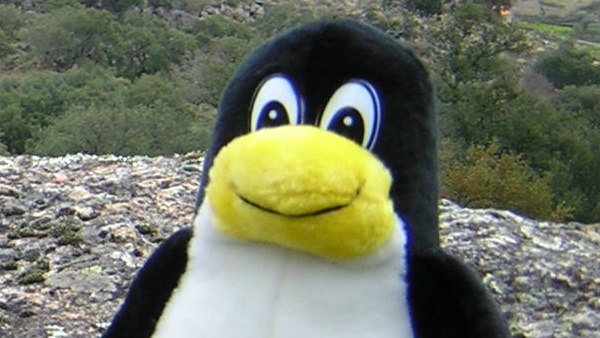 Linux: Kdbus beantragt Aufnahme in den Kernel