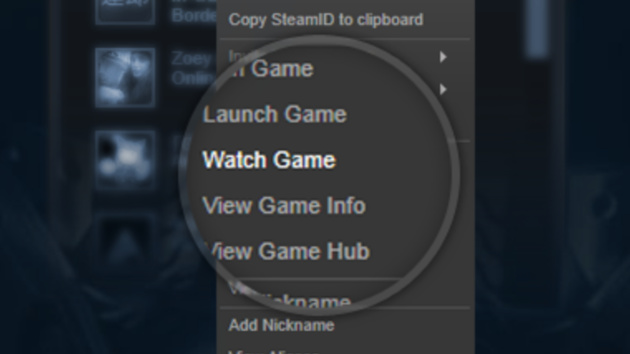 Steam Broadcasting: Spiele wie bei Twitch live ins Internet streamen