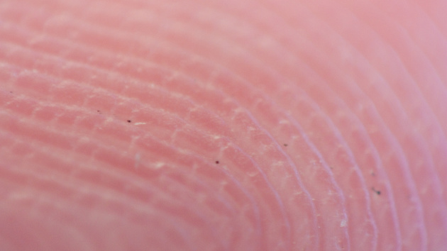 31C3: Hacks von Fingerabdruck-Biometrie und UMTS-Netzen