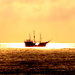 The Pirate Bay: Die populäre Tauschbörse ist wieder online