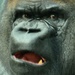 Corning Project Phire: Gorilla Glass will so hart wie Saphirglas werden