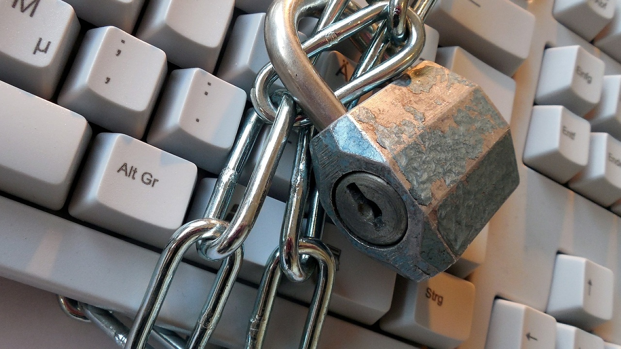 Bitkom-Umfrage: Jedes dritte Unternehmen kämpft mit Cyberangriffen