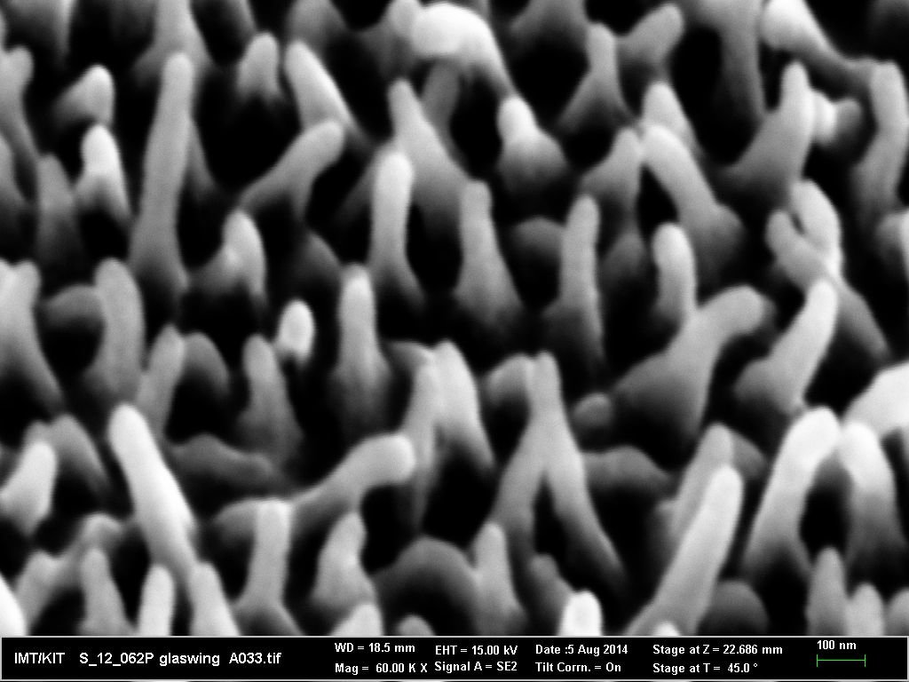Die unregelmäßigen Nanosäulen unterm Rasterelektronenmikroskop