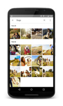 Google Fotos – Bildersuche