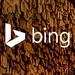 Microsoft: Bing verschlüsselt in Zukunft alle Suchanfragen