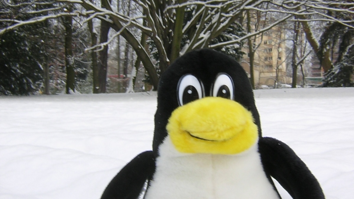 Linux: Linus Torvalds zu den Chancen von Kdbus im Kernel