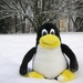 Linux: Linus Torvalds zu den Chancen von Kdbus im Kernel