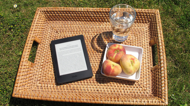 Kindle Unlimited: Schriftstellerverband kritisiert neues Vergütungssystem