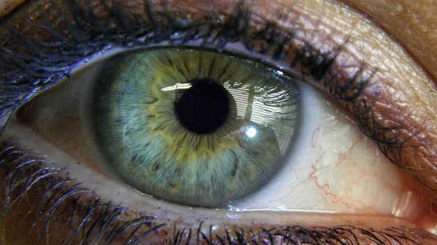 Microsoft Lumia 950 (XL): Windows Hello auf Flaggschiff-Smartphones mit Iris-Scanner