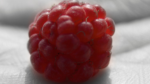 Raspberry Pi: Mini-Rechner erhält offiziellen 7-Zoll-Touchscreen