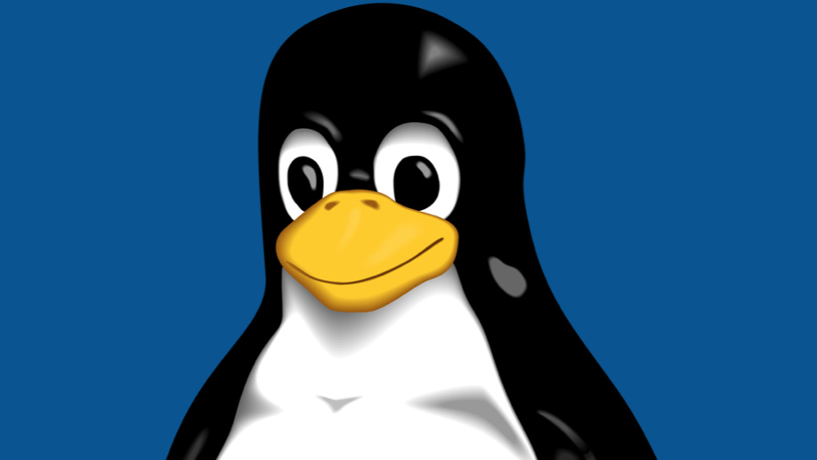 Freie Software: Linux und die Free Software Foundation feiern Geburtstag
