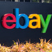 eBay Plus: Versandflatrate seit heute für 19,90 Euro verfügbar