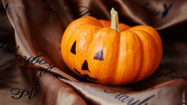 Halloween: Rabattaktionen auf Steam und GoG gestartet