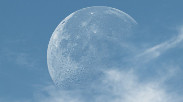 Browser: Pale Moon 26 forkt Firefox-Engine Gecko