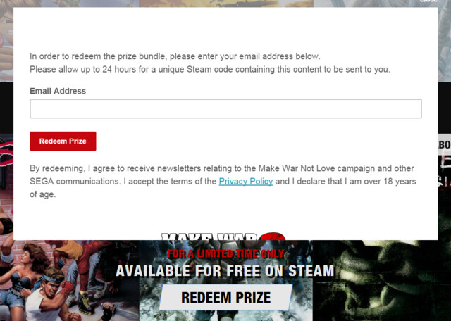 Die Steamcodes werden an die eingegebene E-Mail-Adresse versendet