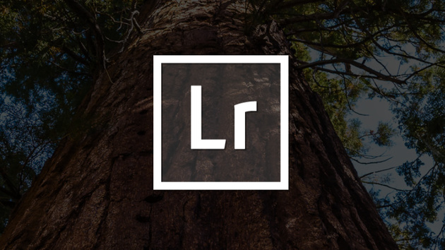 Lightroom 2.0 für Android: Neue Funktionen – aber auch Einschränkungen